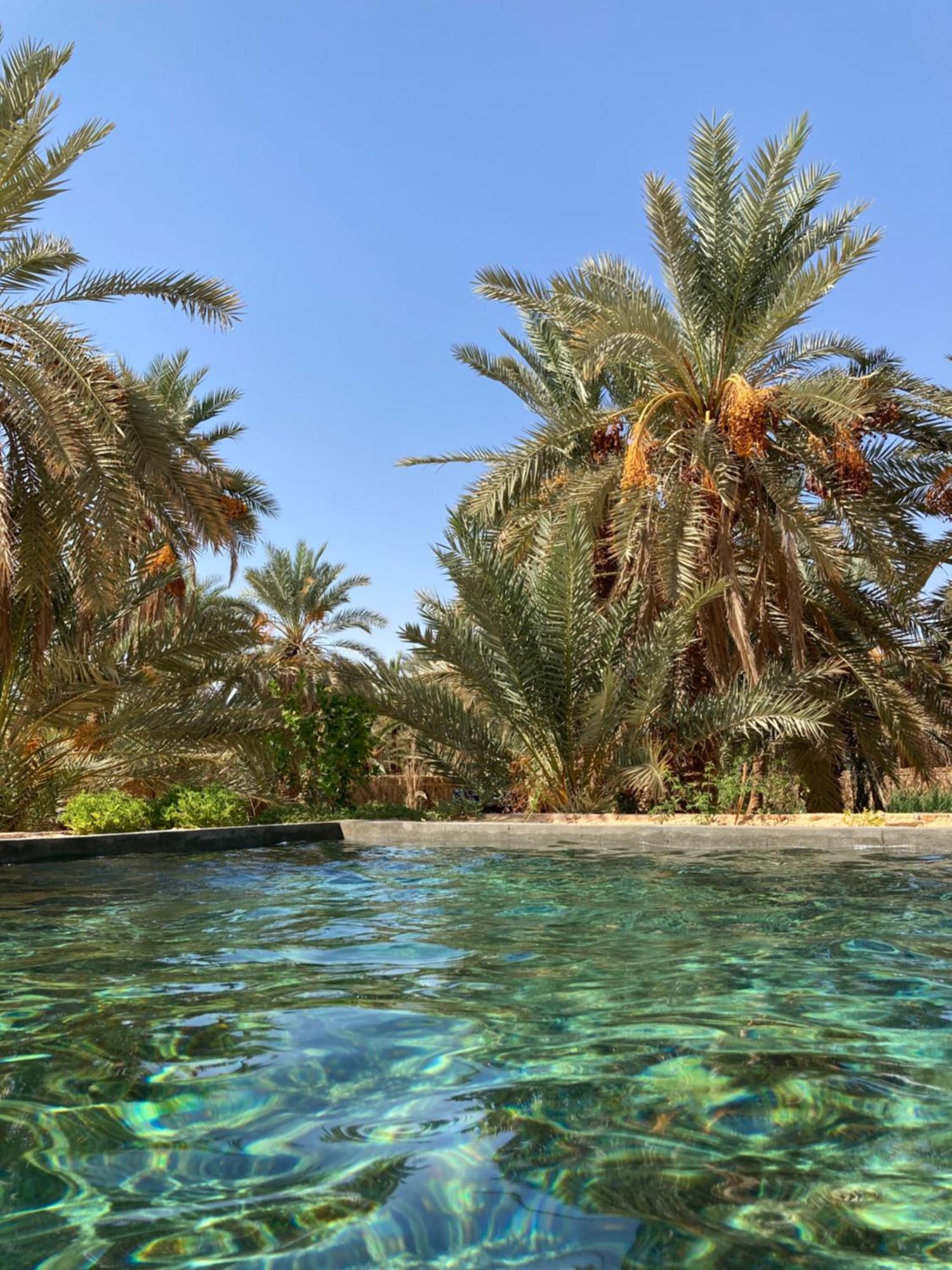 Wafla Villa Siwa Oasis Ngoại thất bức ảnh
