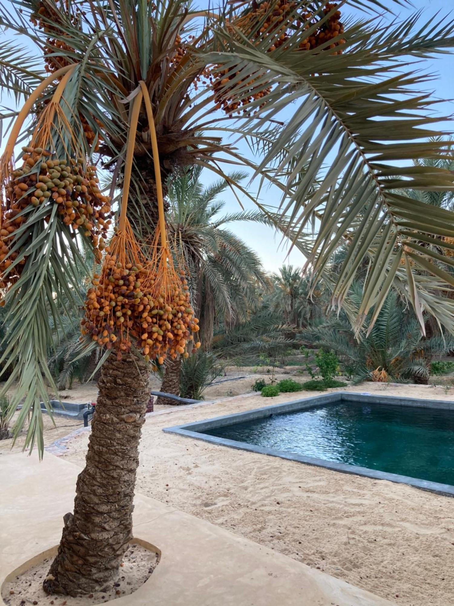 Wafla Villa Siwa Oasis Ngoại thất bức ảnh